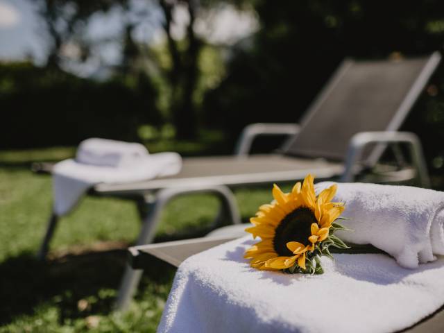 Sonnenblume liegt auf Handtuch auf einem Gartenstuhl im Sommer 