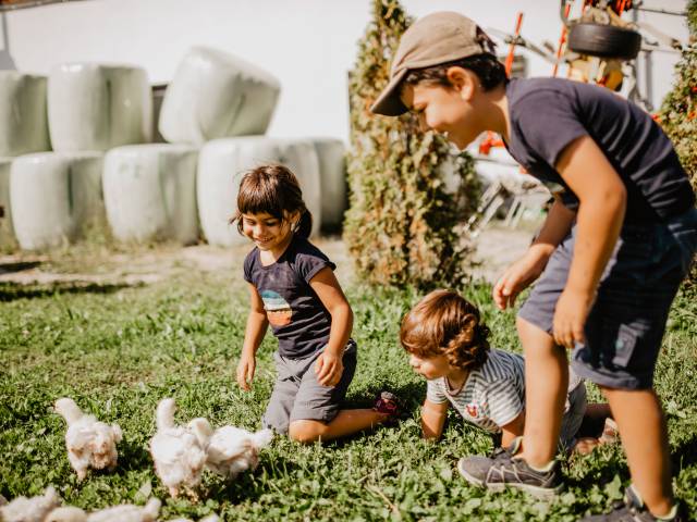 Kinder bewundern Hühner im Freien